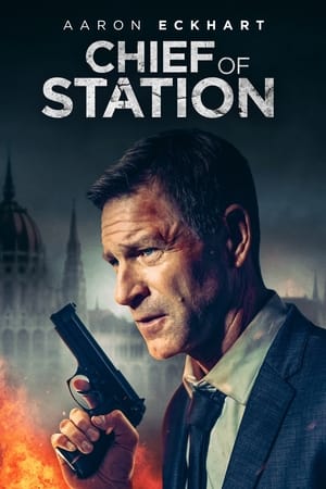 Chief of Station 2024 Hindi Dual Audio – 720p – 480p