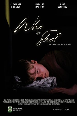 Who is She? (2025) Hindi (MULTI AUDIO) – –